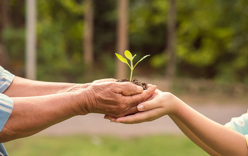 recursos terapeuticos